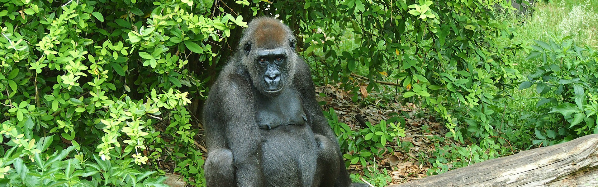 Rwanda