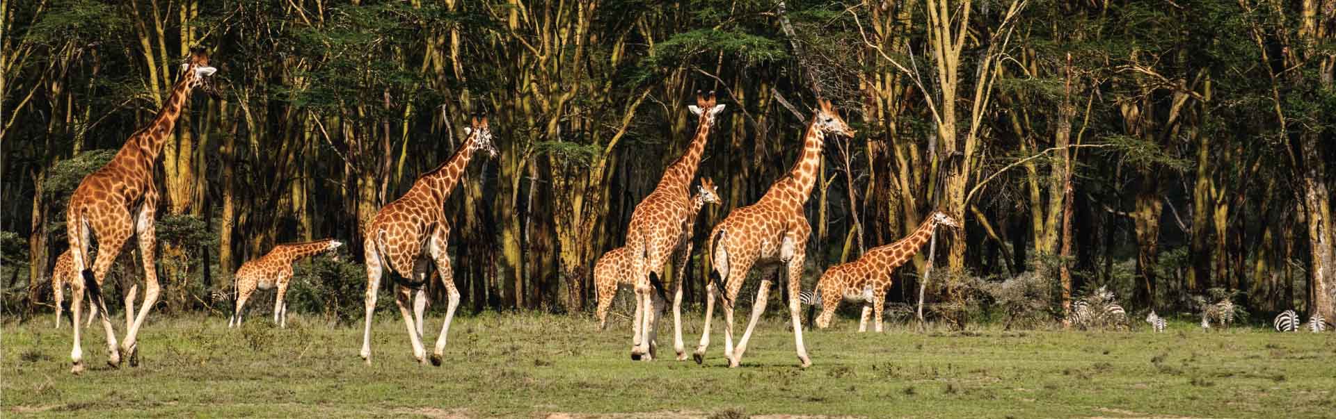 Kenya