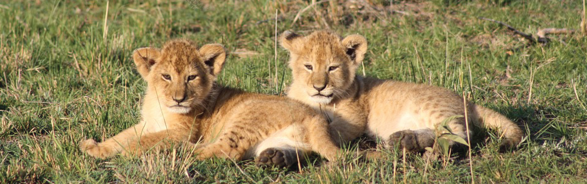 Masai Mara
