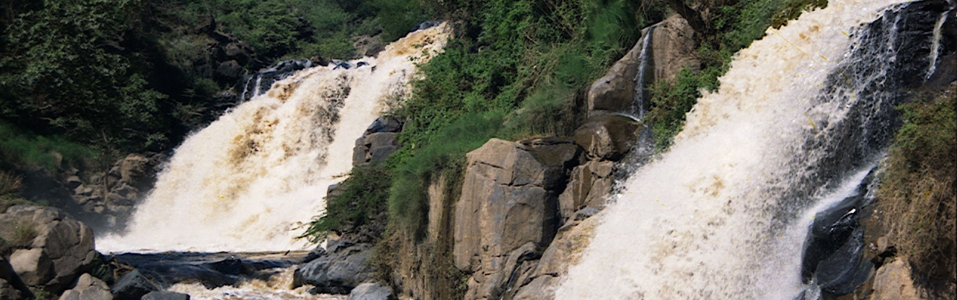 Leisure at Awash National Park